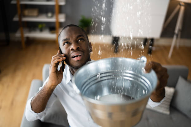 Best Residential water damage restoration  in Newport News, VA