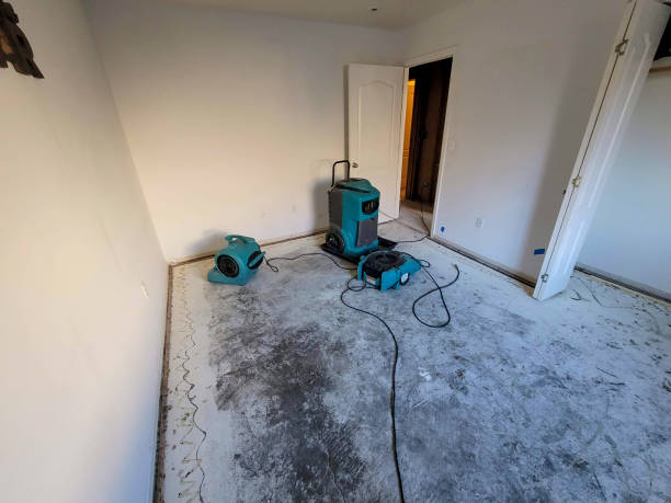 Best Carpet water damage restoration  in Newport News, VA