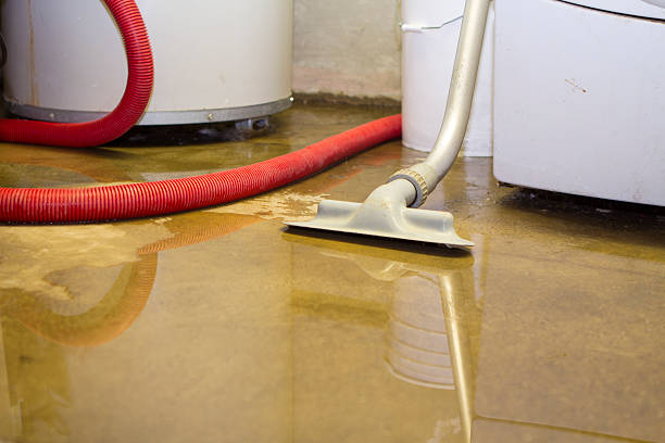 Best Professional water damage repair  in Newport News, VA