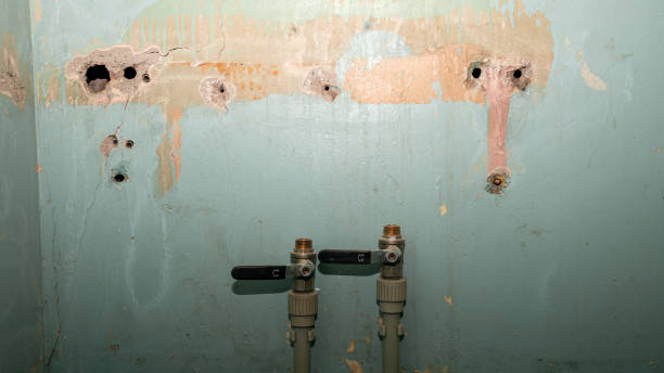 Best Flood damage cleanup  in Newport News, VA