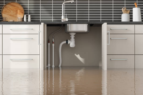 Best Basement water damage restoration  in Newport News, VA