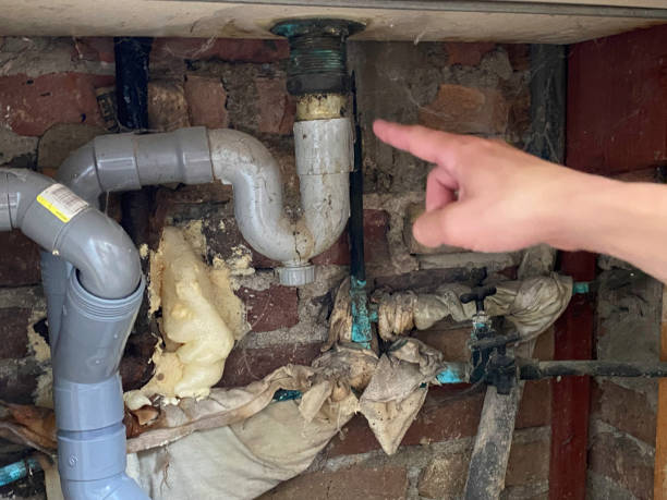 Best Flood restoration services  in Newport News, VA